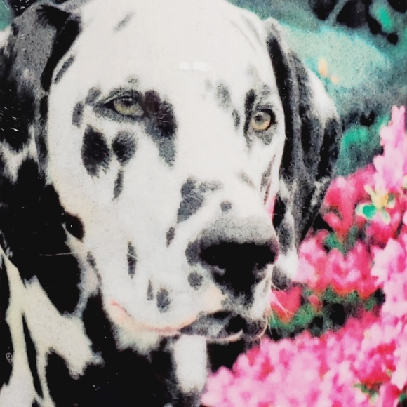 🎁Dalmation coffee mug - Picture 6 of 7